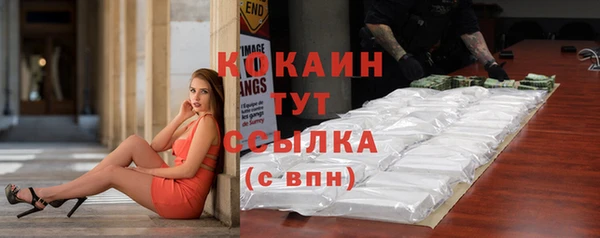 стаф Богородск