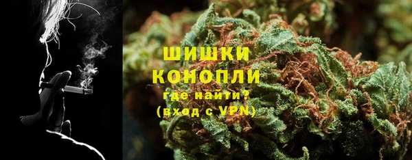 стаф Богородск