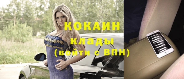 прущие крисы Бородино