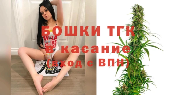 соль ск Богданович